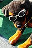 300_8615.JPG