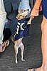 300_8898.JPG