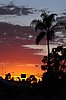 300_8988.JPG