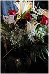 300_9300.JPG
