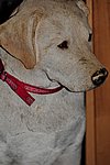 300_8425.JPG