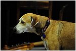 700_4181.JPG