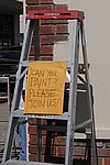 300_9071.JPG