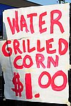 300_9605.JPG