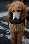 300_4888.JPG