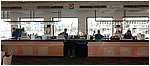 300_1335.jpg