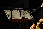 300_8877.JPG